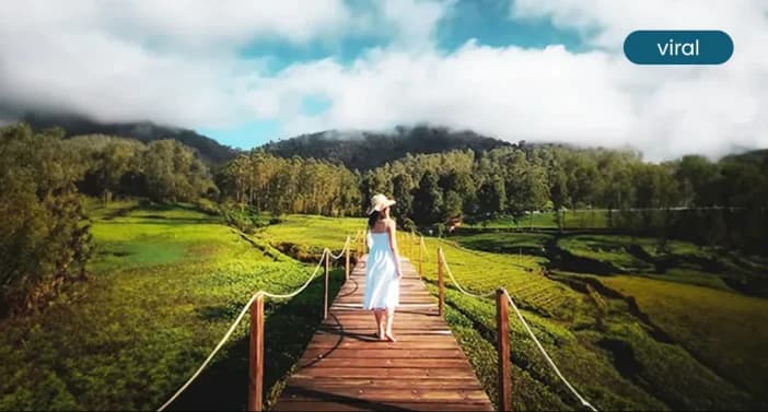 Destinasi Pangalengan